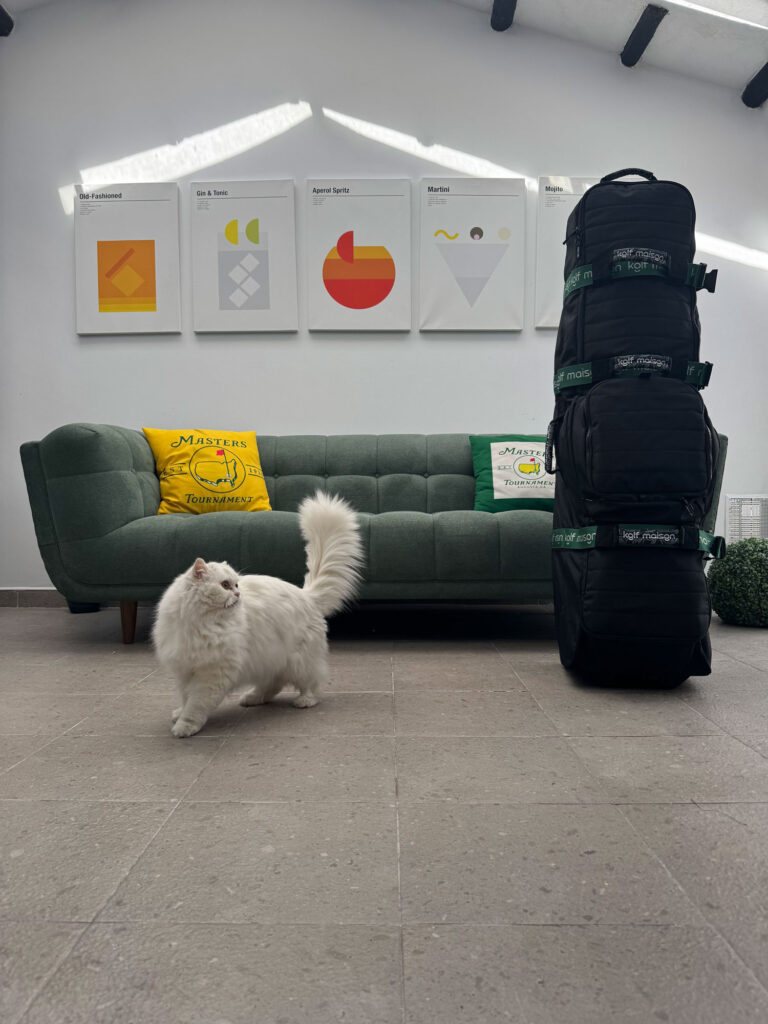 Image #2 from David Miller